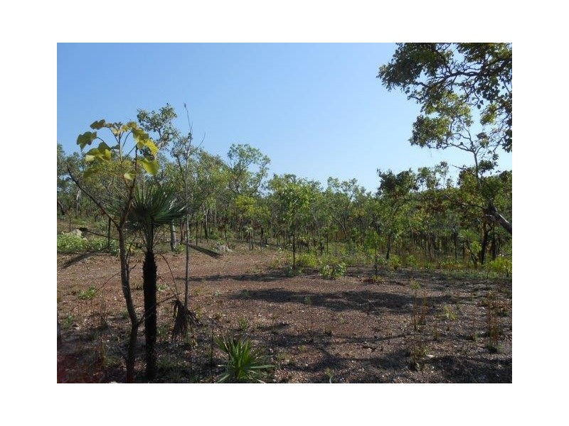 Coomalie Creek NT 0845