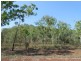 Coomalie Creek NT 0845