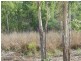 Coomalie Creek NT 0845