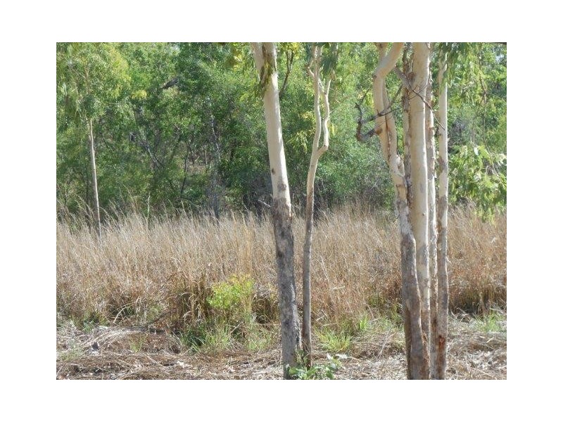 Coomalie Creek NT 0845
