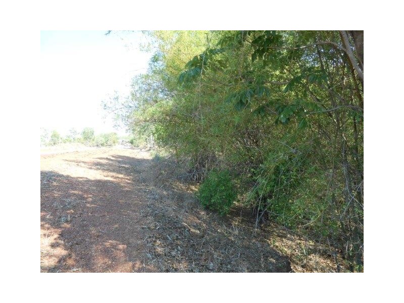 Coomalie Creek NT 0845