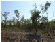 Coomalie Creek NT 0845