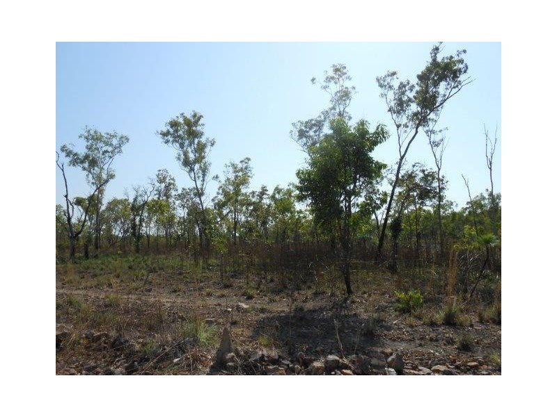 Coomalie Creek NT 0845