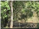 Coomalie Creek NT 0845