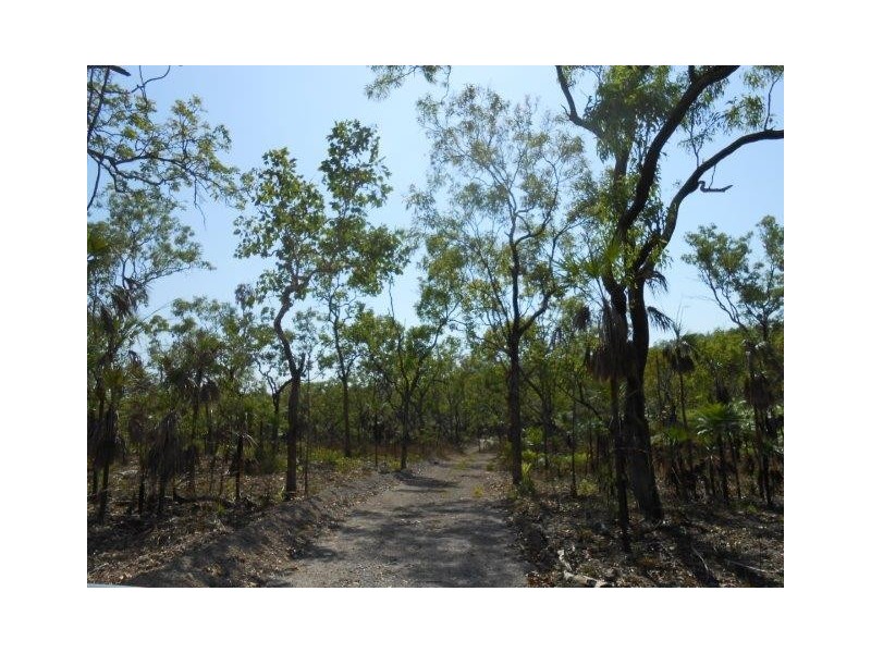 Coomalie Creek NT 0845