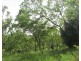 Lot 237,  Stuart Highway, Coomalie Creek NT 0845