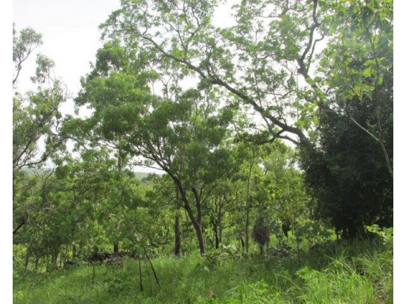 Lot 237,  Stuart Highway, Coomalie Creek NT 0845