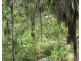 Lot 237,  Stuart Highway, Coomalie Creek NT 0845