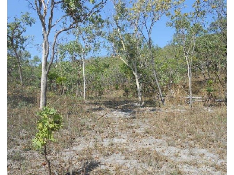 Coomalie Creek NT 0845