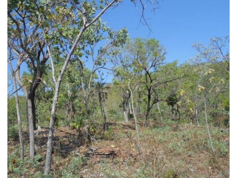 Coomalie Creek NT 0845