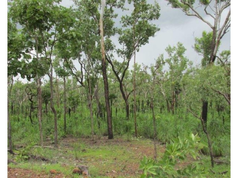 Coomalie Creek NT 0845