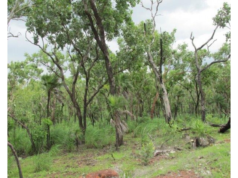 Coomalie Creek NT 0845