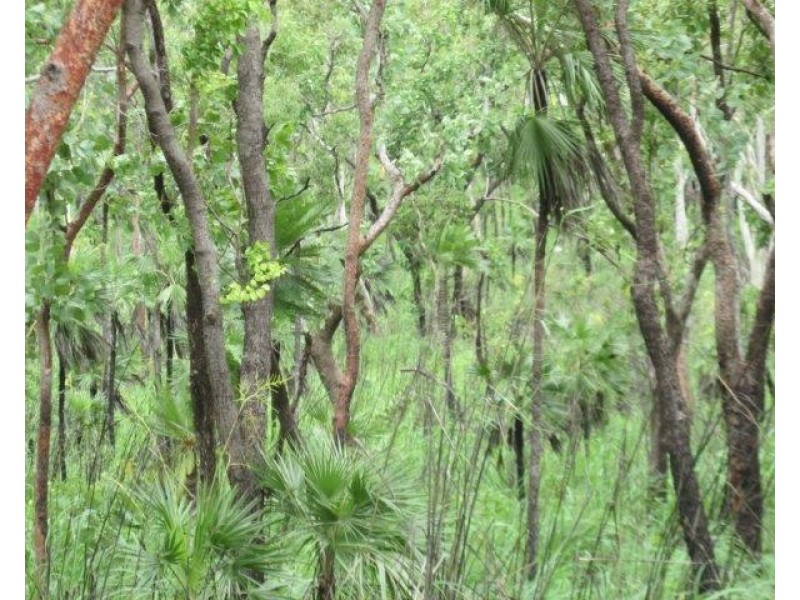 Coomalie Creek NT 0845