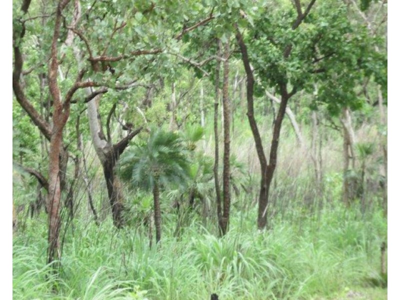 Coomalie Creek NT 0845