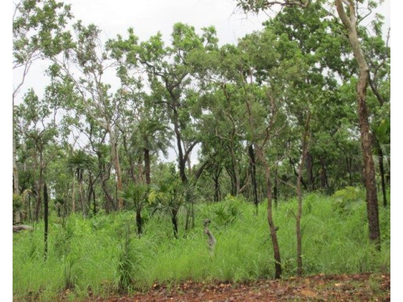 Coomalie Creek NT 0845