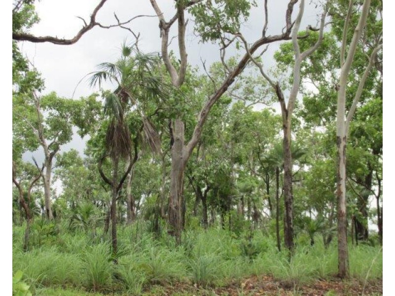 Coomalie Creek NT 0845