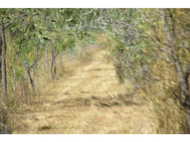 727 Reedbeds Road, Darwin River NT 0841