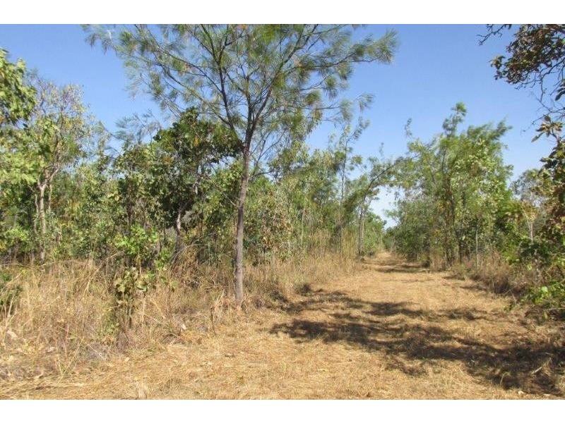 727 Reedbeds Road, Darwin River NT 0841