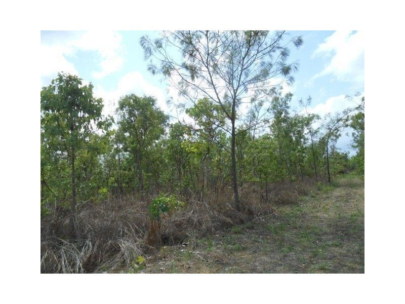 727 Reedbeds Road, Darwin River NT 0841