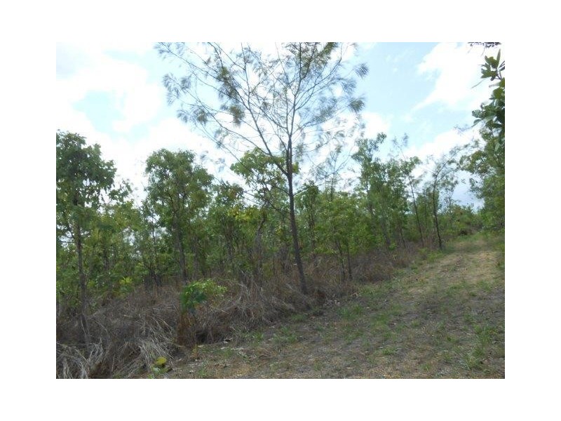 727 Reedbeds Road, Darwin River NT 0841