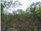 727 Reedbeds Road, Darwin River NT 0841