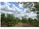 727 Reedbeds Road, Darwin River NT 0841