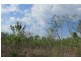 727 Reedbeds Road, Darwin River NT 0841