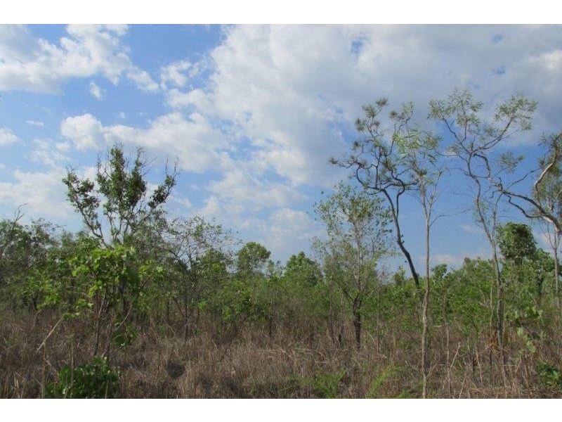 727 Reedbeds Road, Darwin River NT 0841