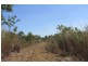 727 Reedbeds Road, Darwin River NT 0841
