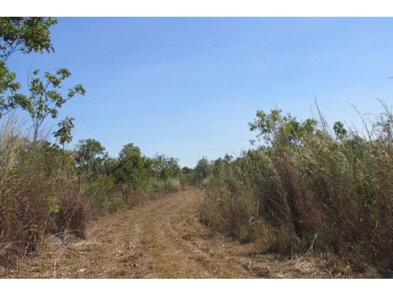 727 Reedbeds Road, Darwin River NT 0841