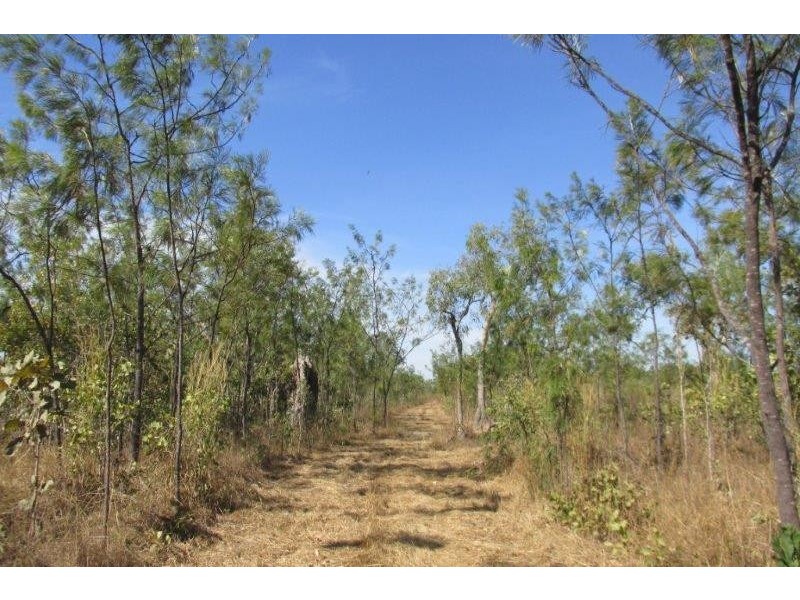 727 Reedbeds Road, Darwin River NT 0841