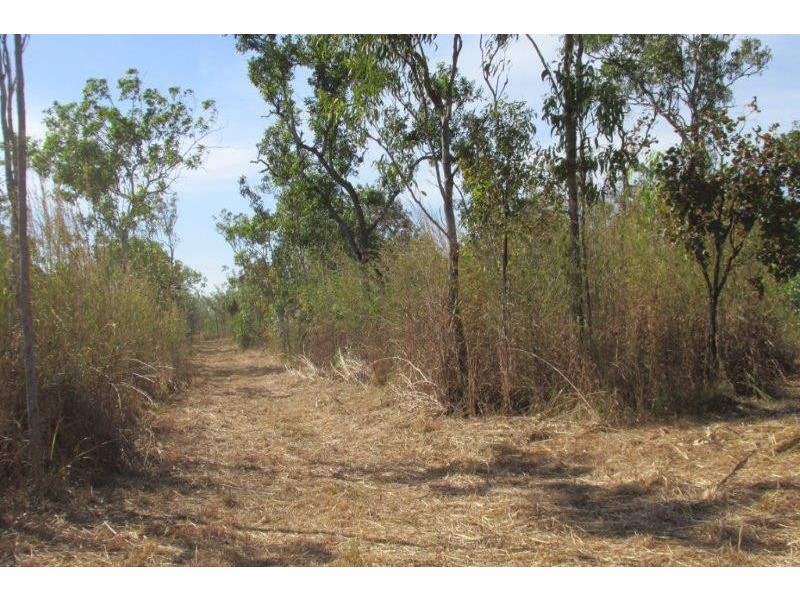 727 Reedbeds Road, Darwin River NT 0841