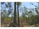 727 Reedbeds Road, Darwin River NT 0841