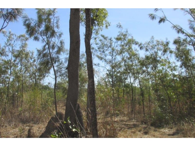 727 Reedbeds Road, Darwin River NT 0841