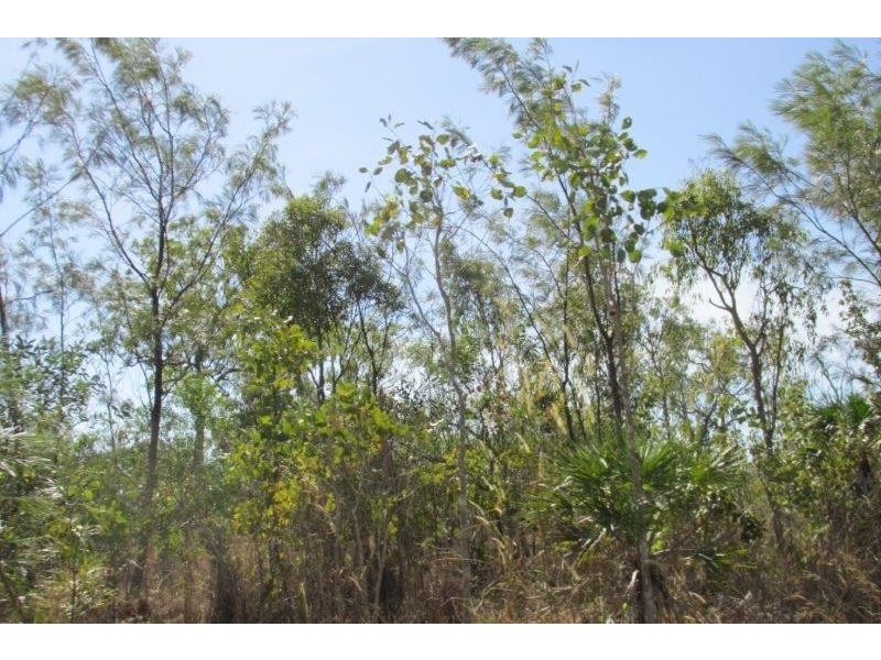 727 Reedbeds Road, Darwin River NT 0841