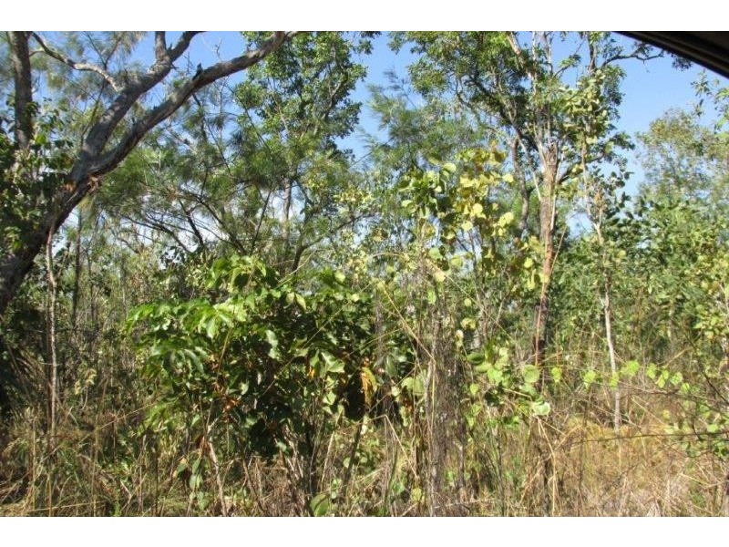 727 Reedbeds Road, Darwin River NT 0841