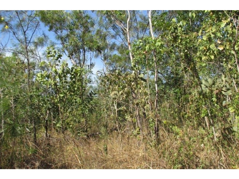 727 Reedbeds Road, Darwin River NT 0841