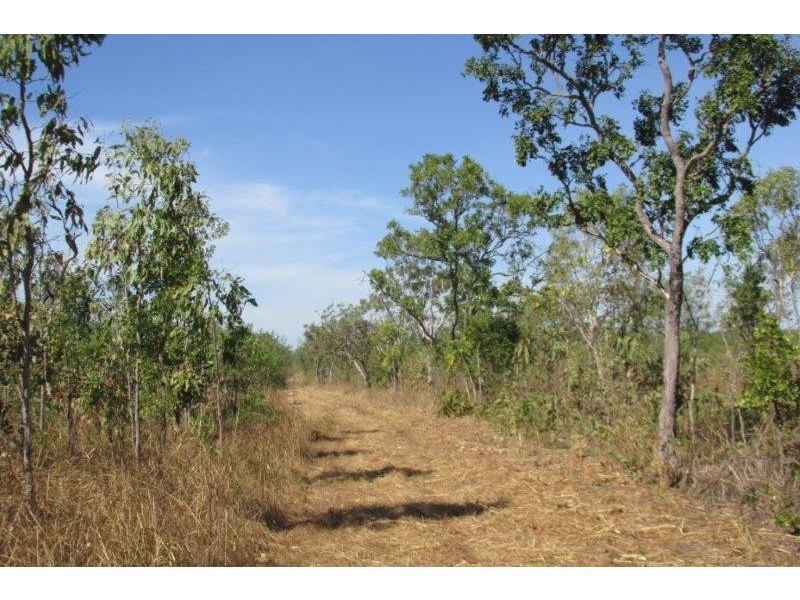 727 Reedbeds Road, Darwin River NT 0841