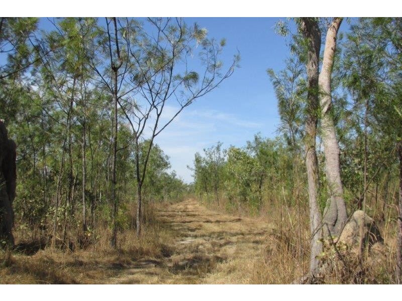 727 Reedbeds Road, Darwin River NT 0841