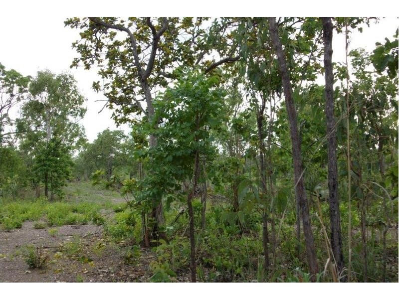 727 Reedbeds Road, Darwin River NT 0841