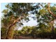 Darwin River NT 0841