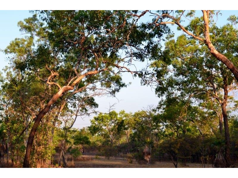 Darwin River NT 0841