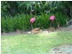 370 Spencer Road, Darwin River NT 0841