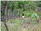 370 Spencer Road, Darwin River NT 0841