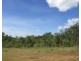Adelaide River NT 0846
