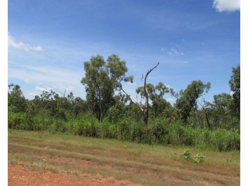 Adelaide River NT 0846
