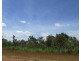 Adelaide River NT 0846