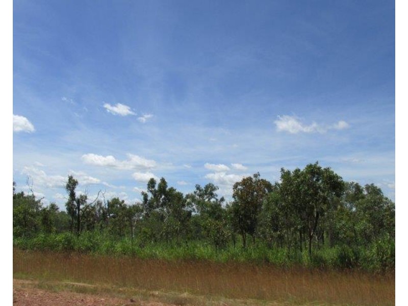 Adelaide River NT 0846