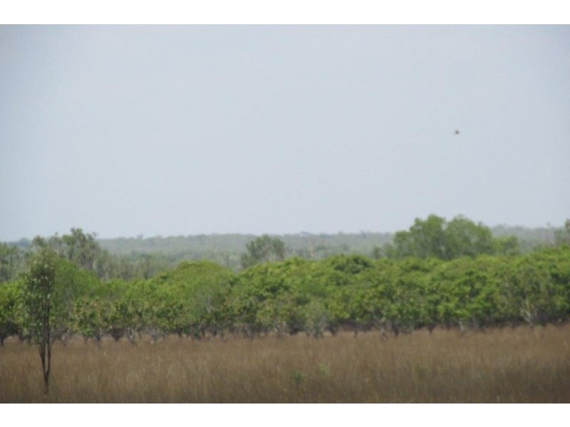 Coomalie Creek NT 0845