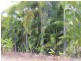 625 Leonino Road, Fly Creek NT 0822